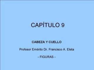 CAPITULO_09.ppt