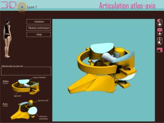 articulation atlas-axis.pdf